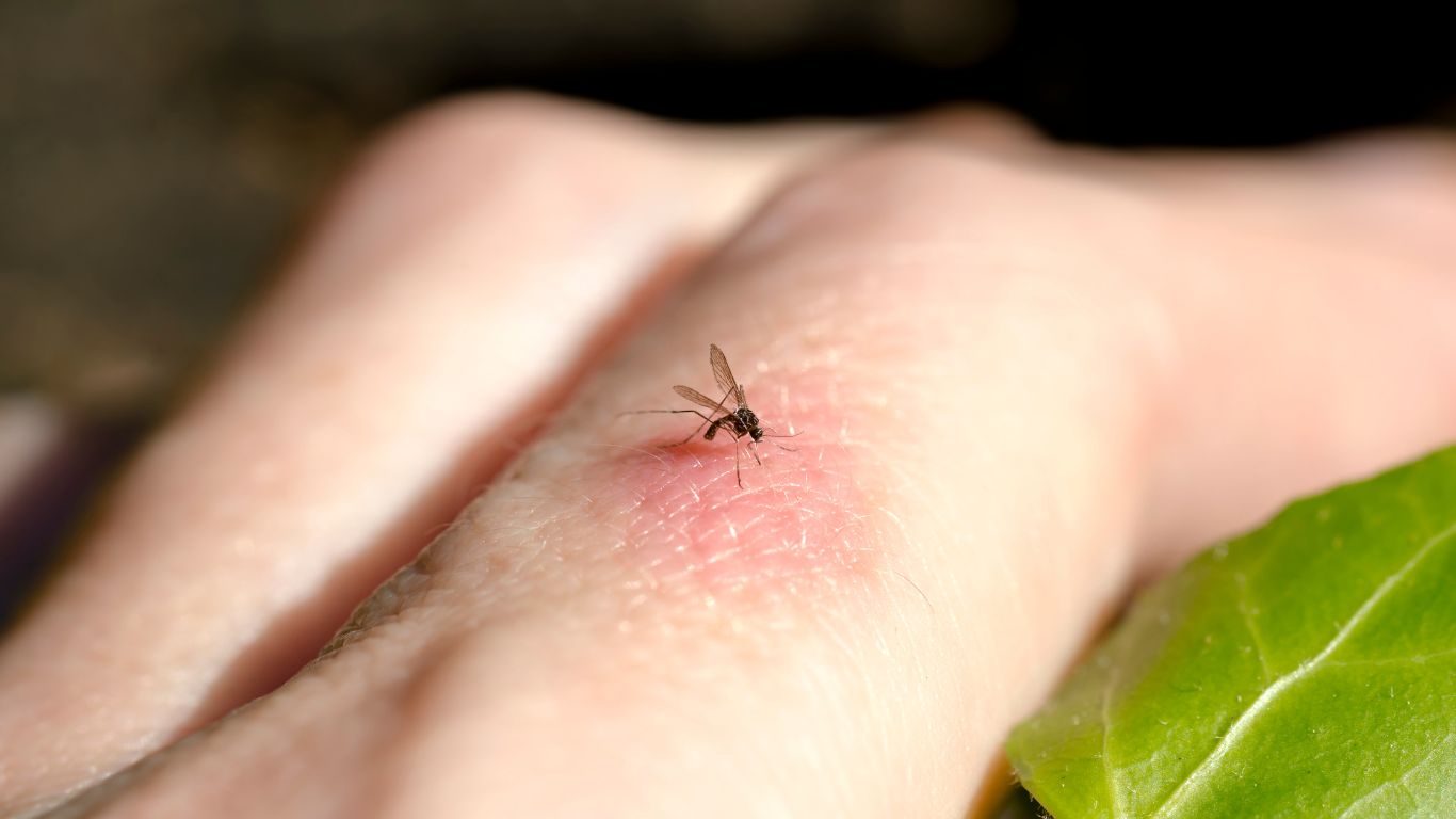 Insect biting a leg leaving a red mark